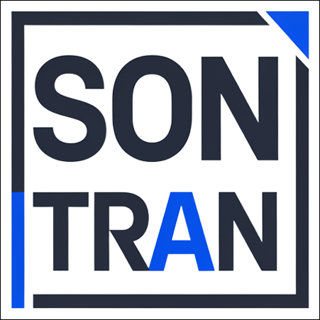 Logo Son Tran Consulting
